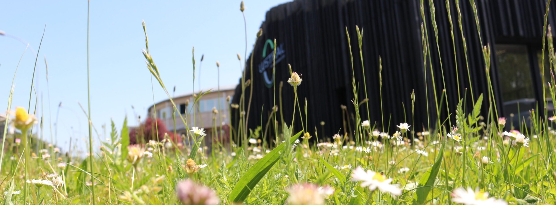 Comment choisir une entreprise respectueuse de l’environnement ?